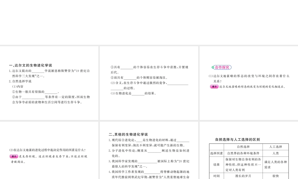 《第三节-生物进化的学说》课件6