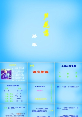 八年级语文上册 2 芦花荡课件4 (新版)新人教版 课件