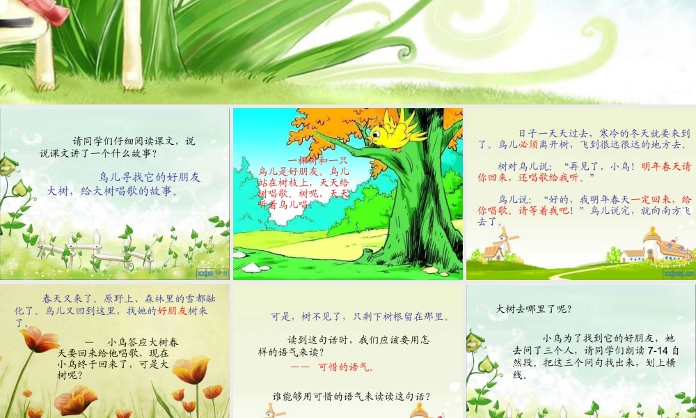 去年的树教学课件