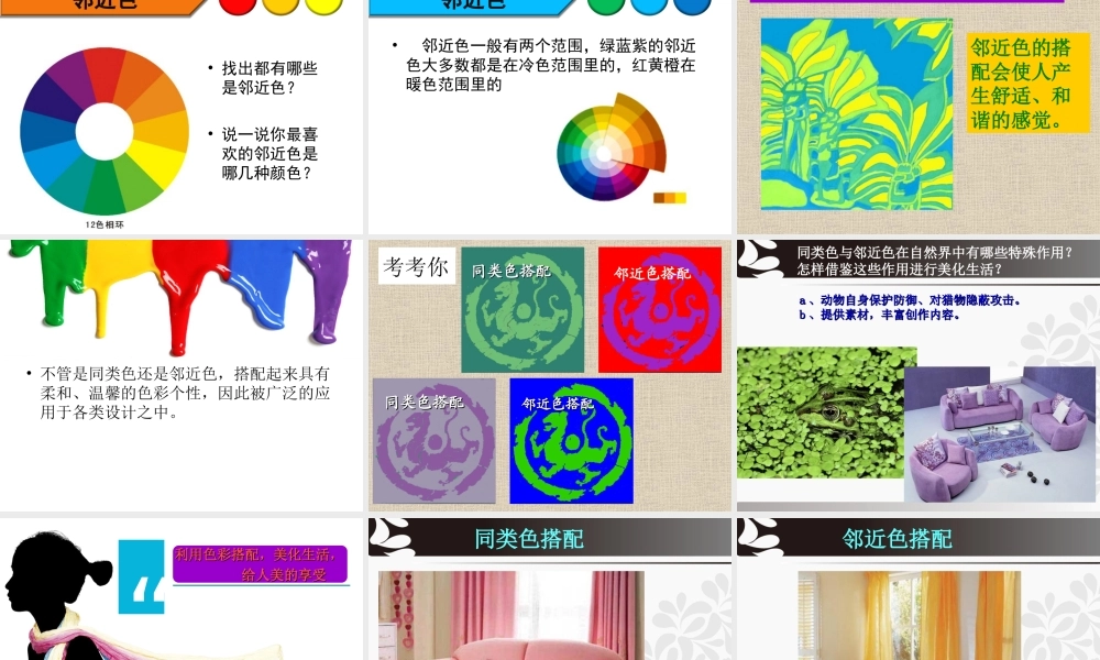 初中美术《同类色与邻近色》课件