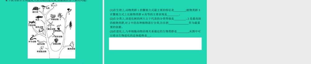 八年级生物下册 6.3.2 生命的起源(第1课时)课件 (新版)冀教版 课件