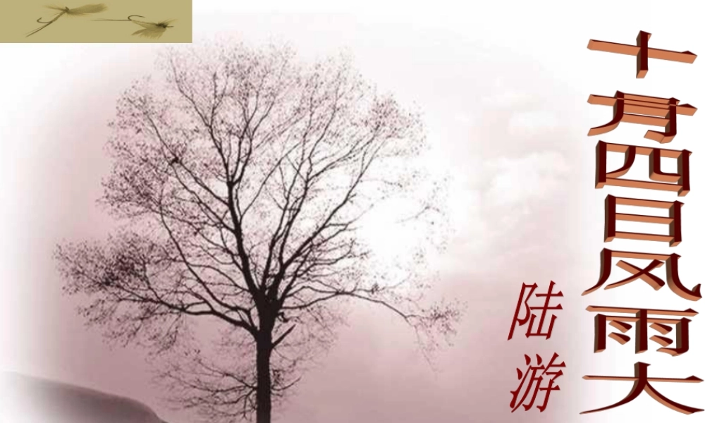 十一月四日风雨大作