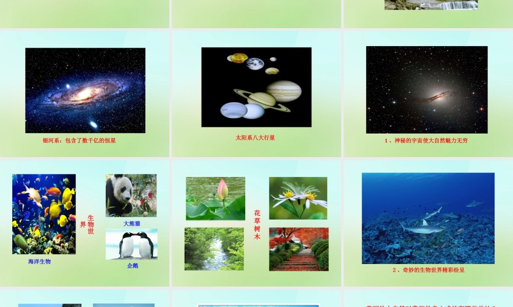 八年级政治下册 第十二课 第1框(感受大自然之美)课件 鲁教版 课件