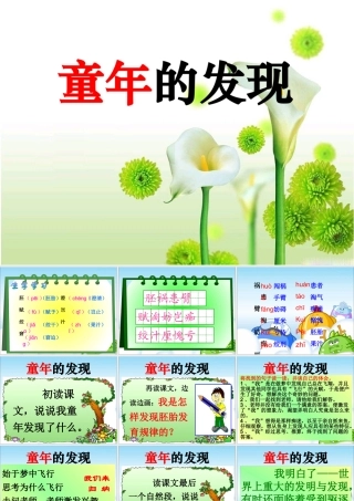《童年的发现》教学课件1