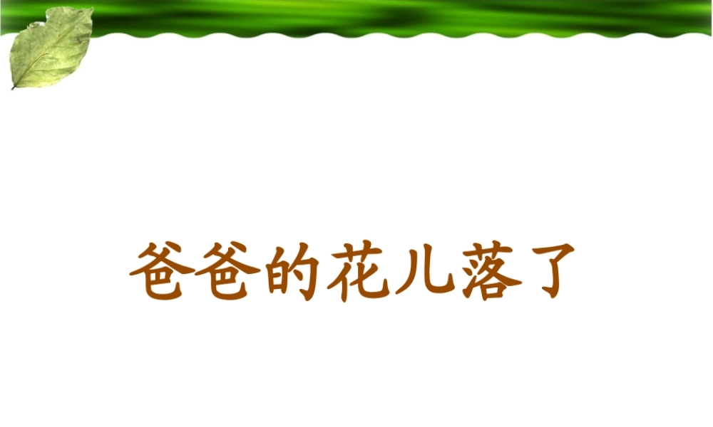 《爸爸的花儿落了》参考课件2