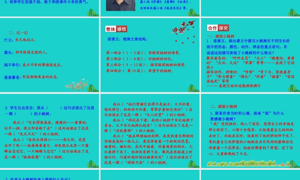 七年级语文下册 第五单元 18一棵小桃树课件 新人教版 课件