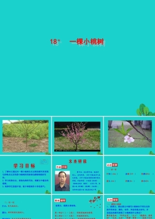 七年级语文下册 第五单元 18一棵小桃树课件 新人教版 课件