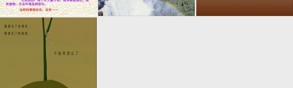 大瀑布的葬礼PPT