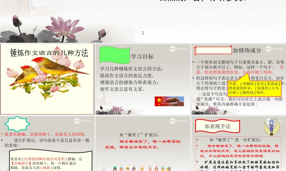 中学高三语文(锤炼作文语言的方法)课件