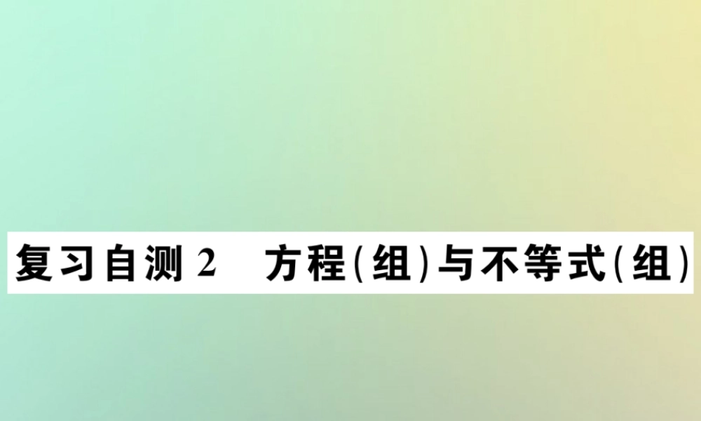 九年级数学下册 复习自测2 方程(组)与不等式(组)习题课件 (新版)新人教版 课件