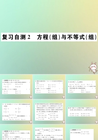九年级数学下册 复习自测2 方程(组)与不等式(组)习题课件 (新版)新人教版 课件