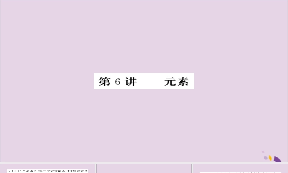 中考化学总复习 第一轮复习 系统梳理 夯基固本 第6讲 元素练习课件