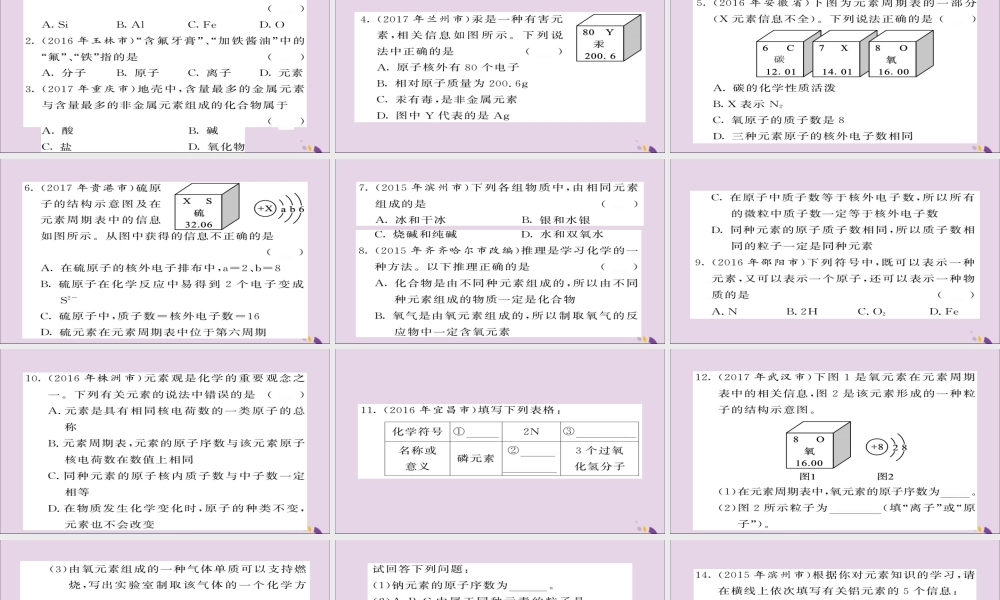 中考化学总复习 第一轮复习 系统梳理 夯基固本 第6讲 元素练习课件