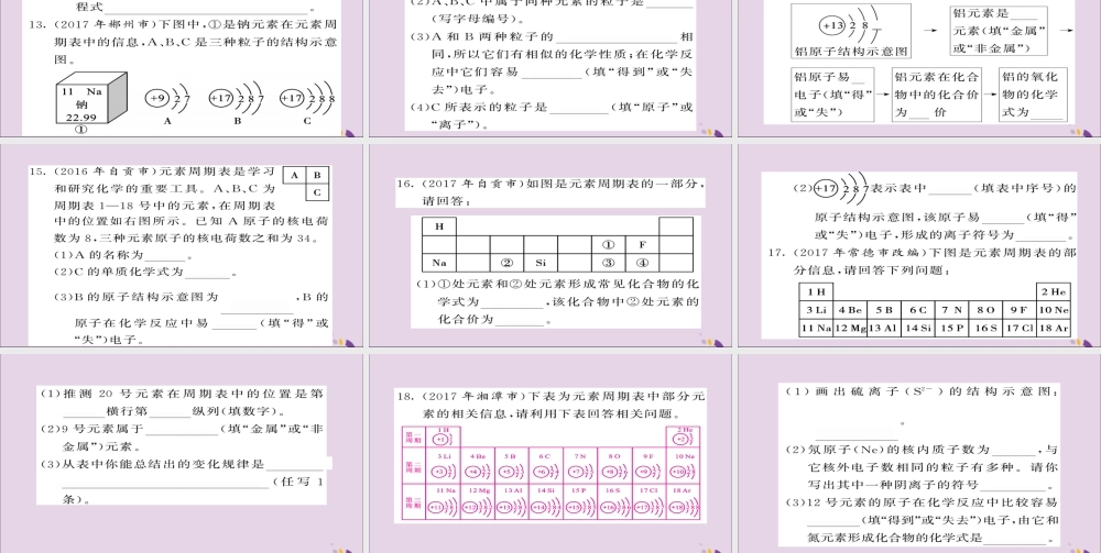 中考化学总复习 第一轮复习 系统梳理 夯基固本 第6讲 元素练习课件