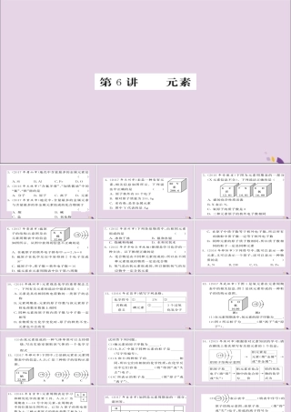 中考化学总复习 第一轮复习 系统梳理 夯基固本 第6讲 元素练习课件