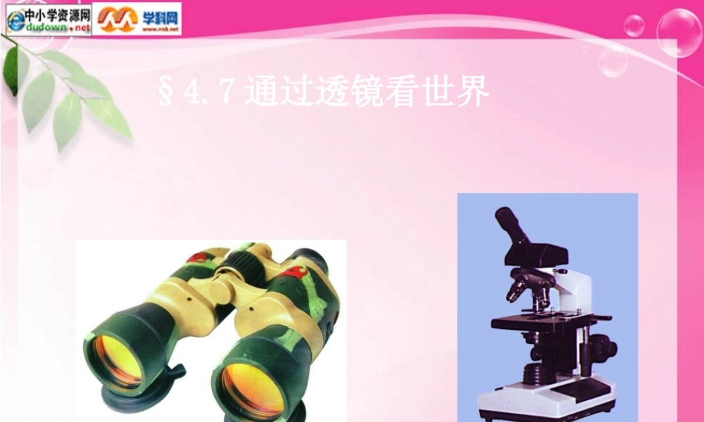 教科版初中物理八上47《通过透镜看世界》PPT课件1