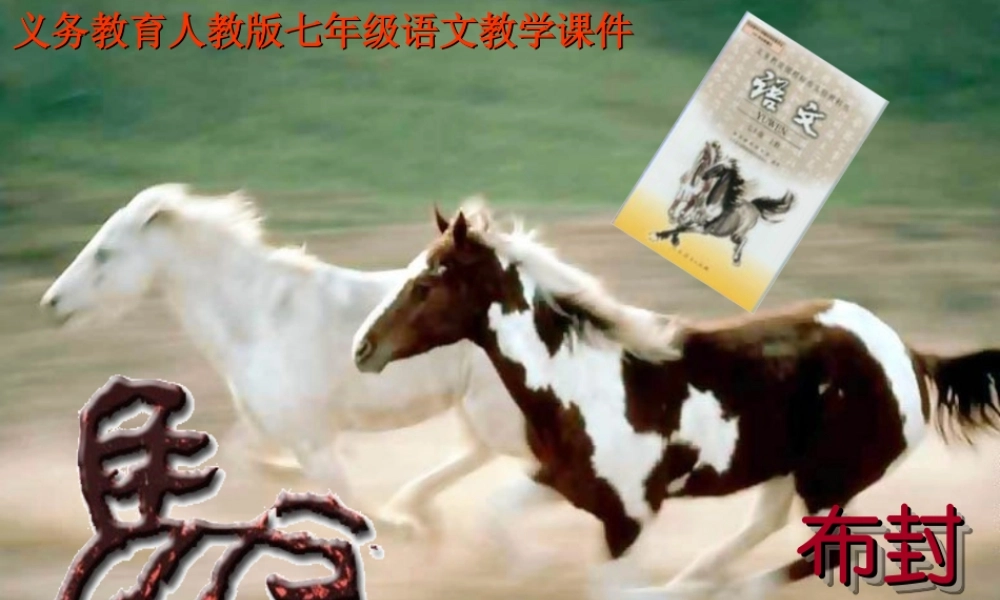 七年级语文下册 第六单元 第29课(马)课件 人教新课标版 课件