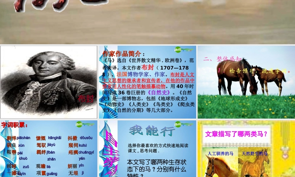 七年级语文下册 第六单元 第29课(马)课件 人教新课标版 课件