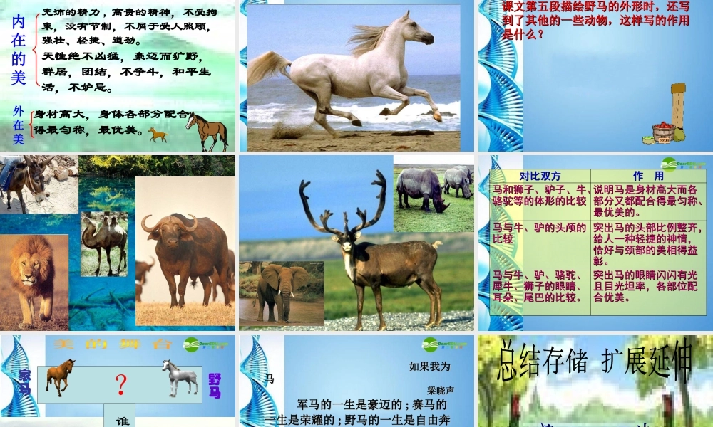 七年级语文下册 第六单元 第29课(马)课件 人教新课标版 课件