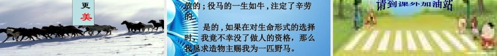 七年级语文下册 第六单元 第29课(马)课件 人教新课标版 课件