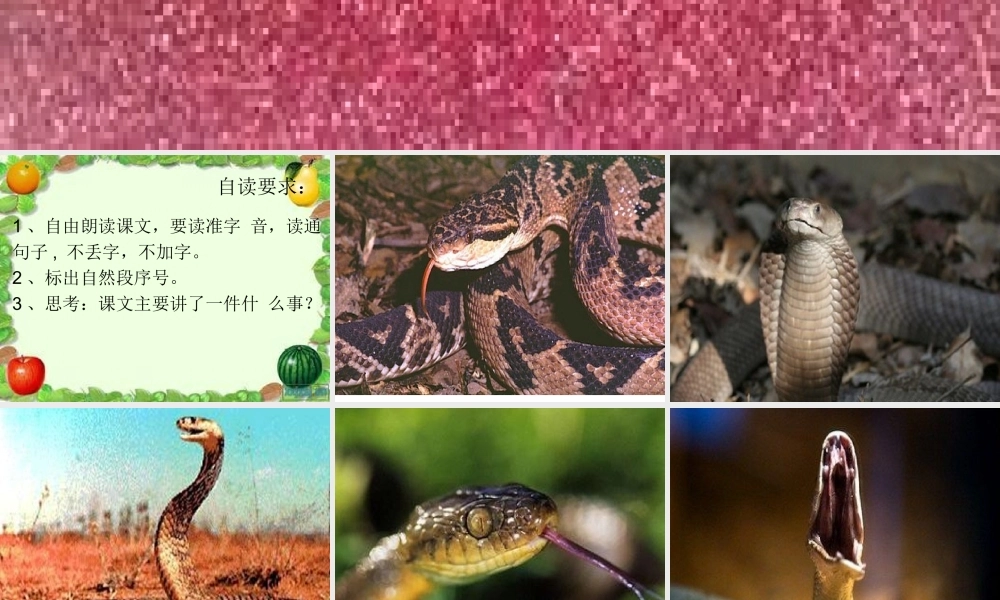 《血染的实验报告》课件