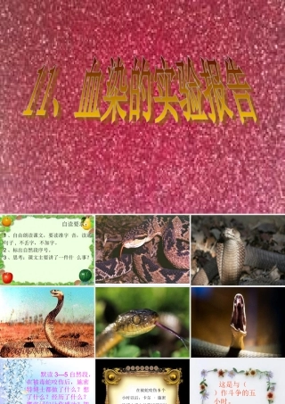 《血染的实验报告》课件