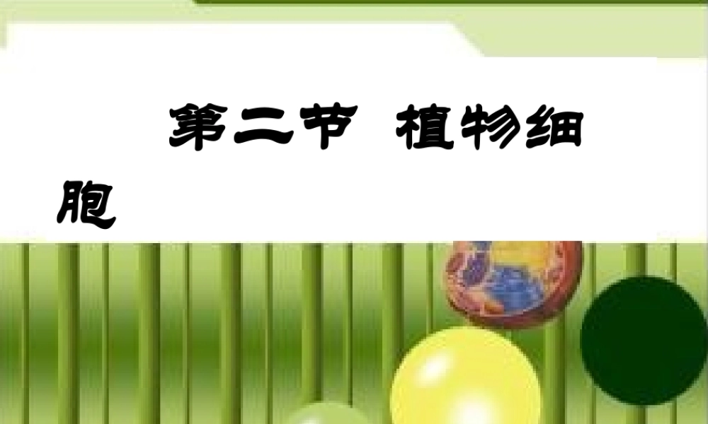 七年级生物上册 第二单元 第一章 第二节 植物细胞课件 (新版)新人教版 课件