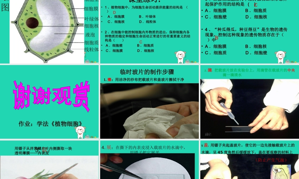 七年级生物上册 第二单元 第一章 第二节 植物细胞课件 (新版)新人教版 课件