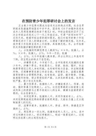 在预防青少年犯罪研讨会上的发言