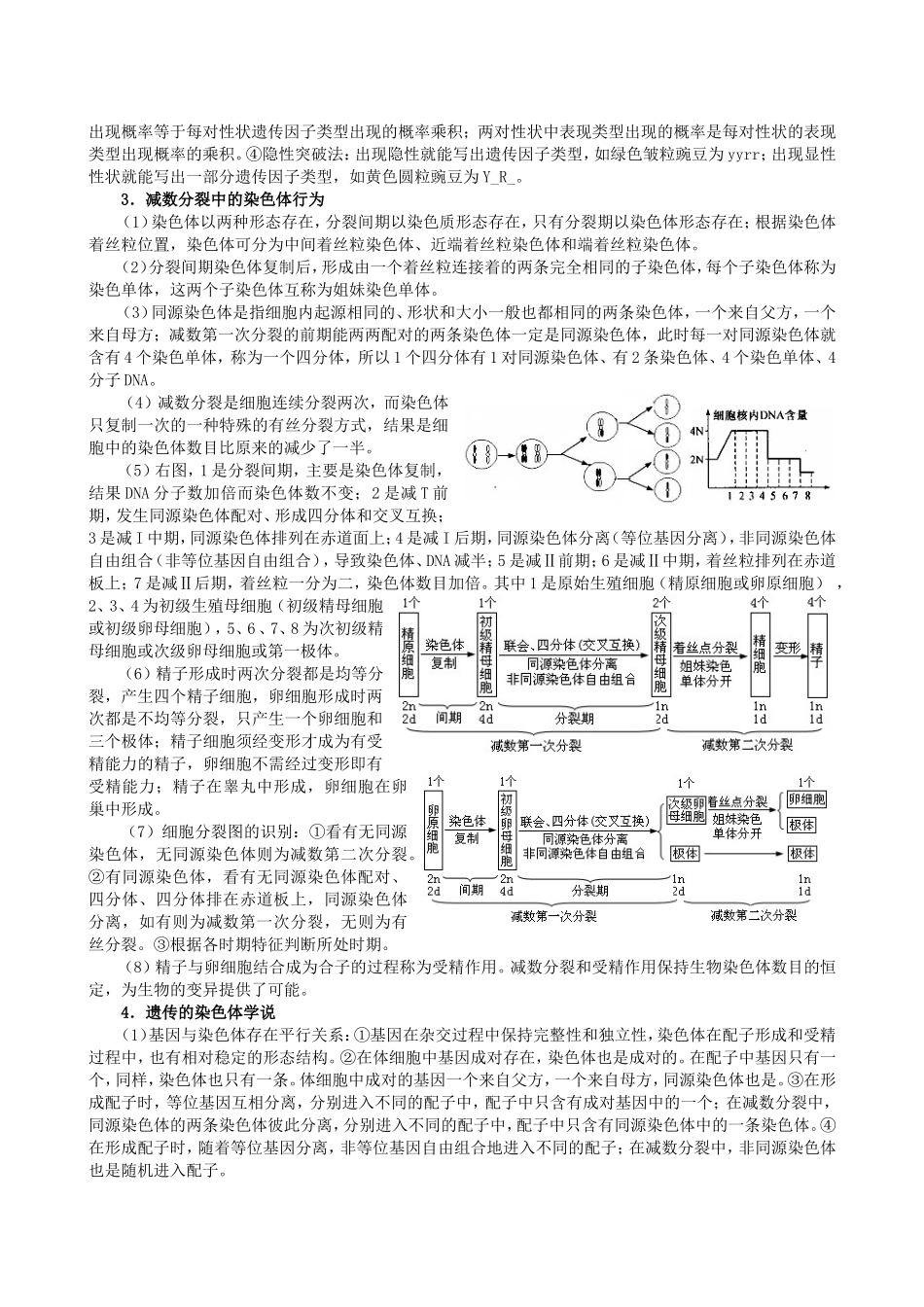 生物必修二_知识点总结_遗传与进化_第2页