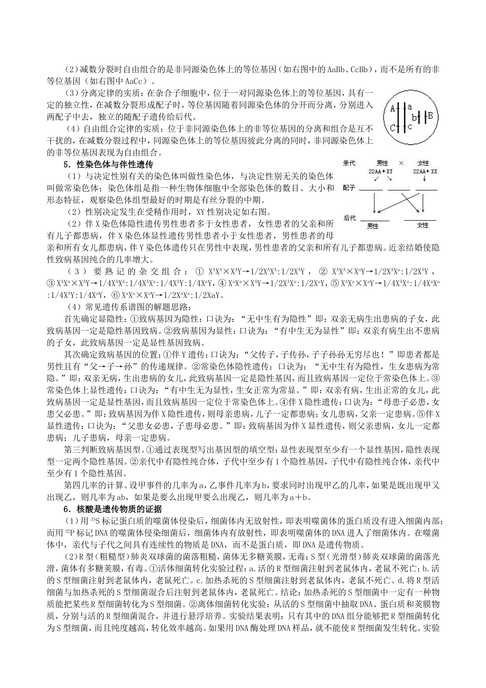 生物必修二_知识点总结_遗传与进化_第3页