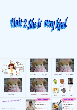 广州版四年级英语Unit-2-She-is-very-kind