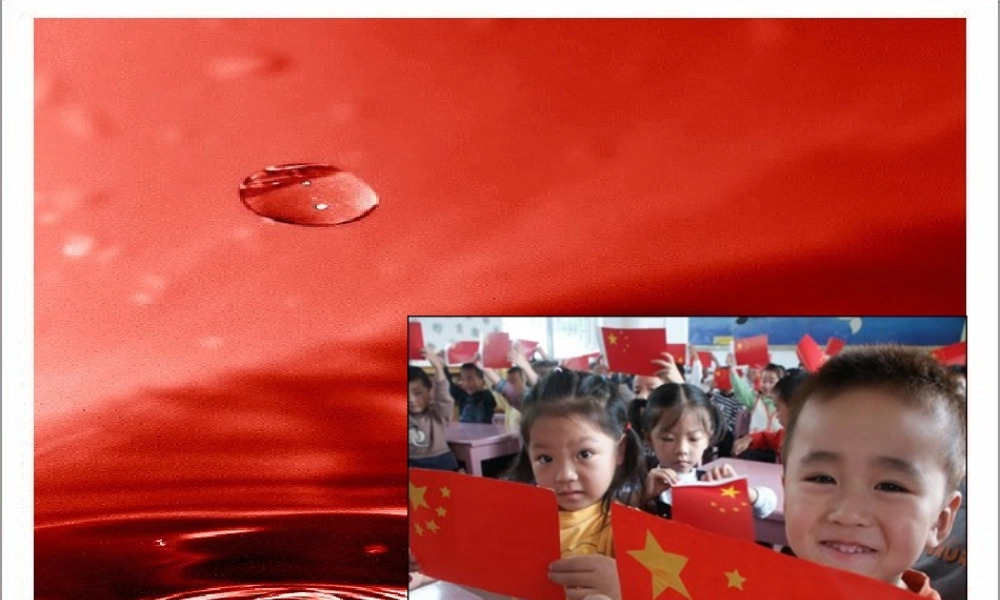 三年级语文下册第七组26一面五星红旗第一课时课件