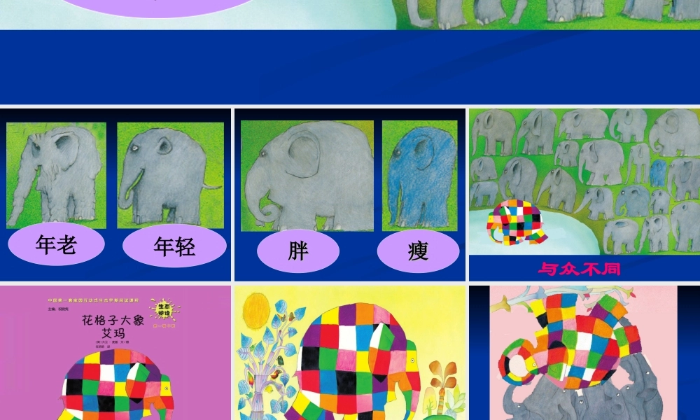 花格子大象艾玛
