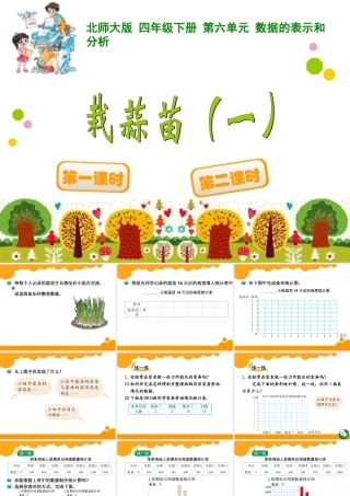 栽蒜苗一课件
