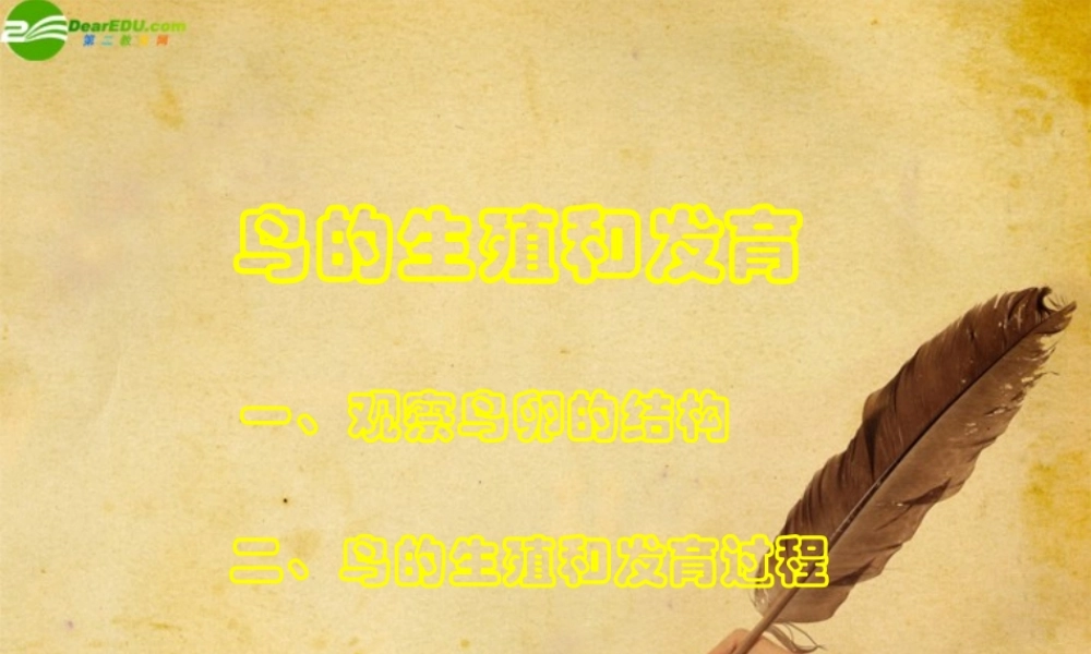 八年级生物上册 鸟的生殖和发育课件 北师大版 课件