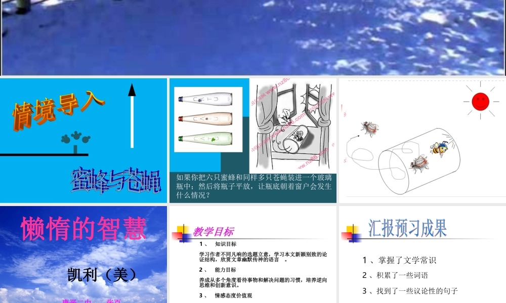 《懒惰的智慧》(张百英)