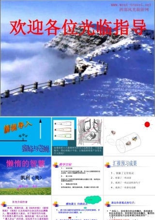 《懒惰的智慧》(张百英)