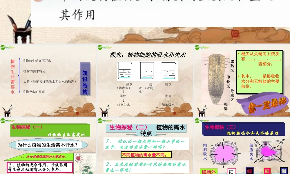 七年级生物上册 第5章第三节植物生长需要水和无机盐课件 苏教版 课件