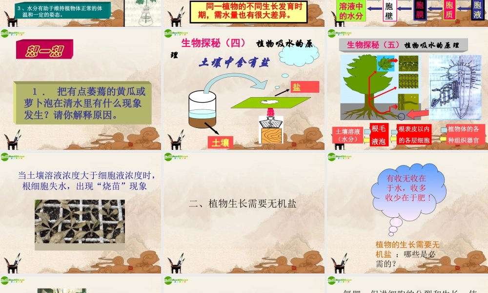 七年级生物上册 第5章第三节植物生长需要水和无机盐课件 苏教版 课件