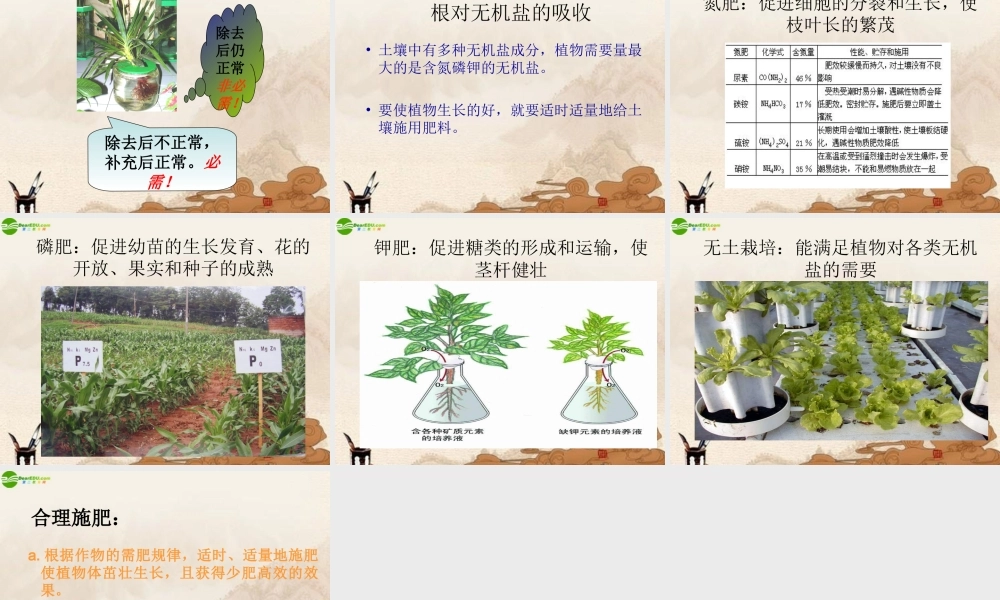 七年级生物上册 第5章第三节植物生长需要水和无机盐课件 苏教版 课件