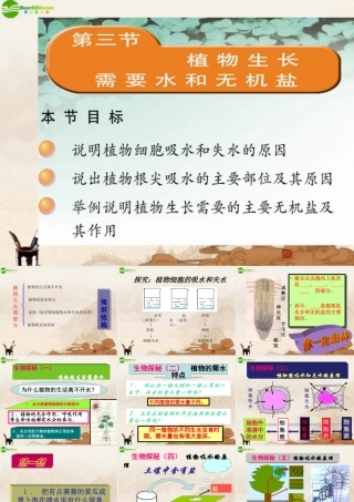 七年级生物上册 第5章第三节植物生长需要水和无机盐课件 苏教版 课件