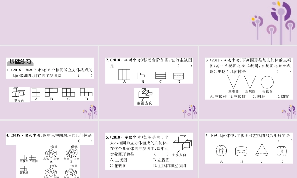中考数学总复习 第一部分 教材知识梳理 第6章 图形的变化 第3节 投影与视图(精练)课件