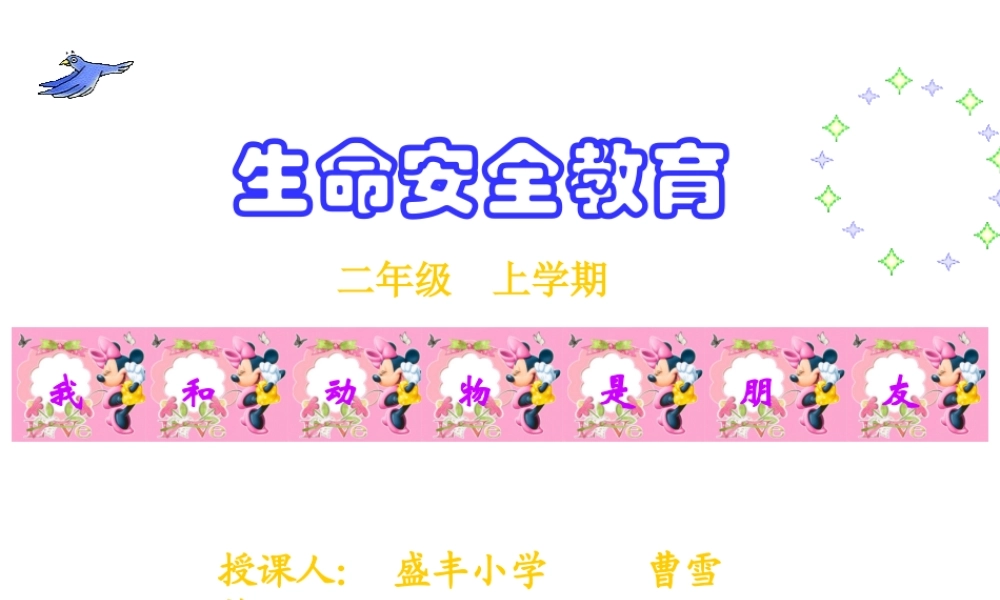 《我和动物是朋友》课件