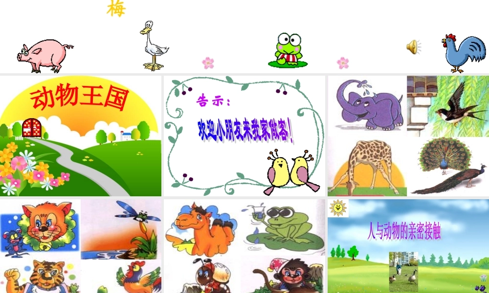 《我和动物是朋友》课件