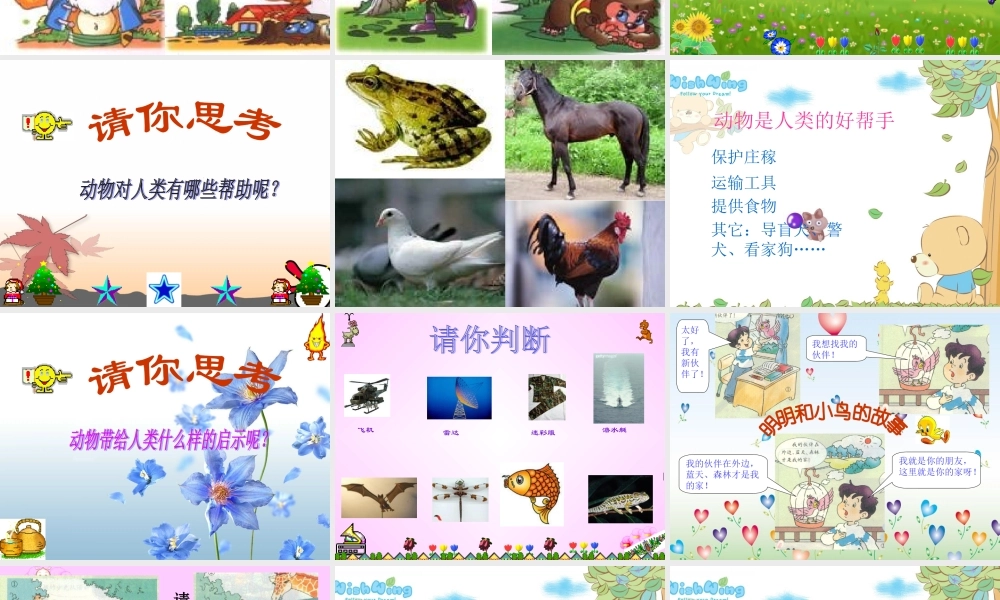 《我和动物是朋友》课件