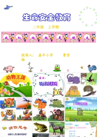 《我和动物是朋友》课件