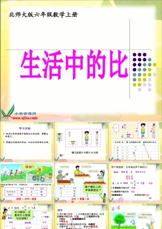 北师大版数学六年级上册《生活中的比》