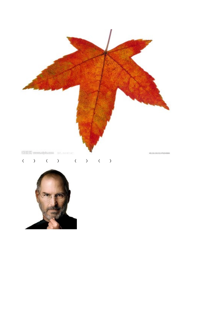 新六年级m5练习_第2页