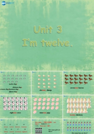 七年级英语上册 Starter Module 2 Unit 3 I'm twelve课件 (新版)外研版 课件